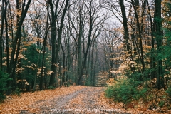 New England in Fall