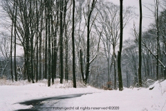 Winter in Ohio