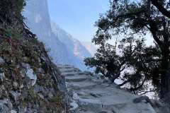 Yosemite National Park