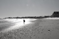 Surfing in Winter
